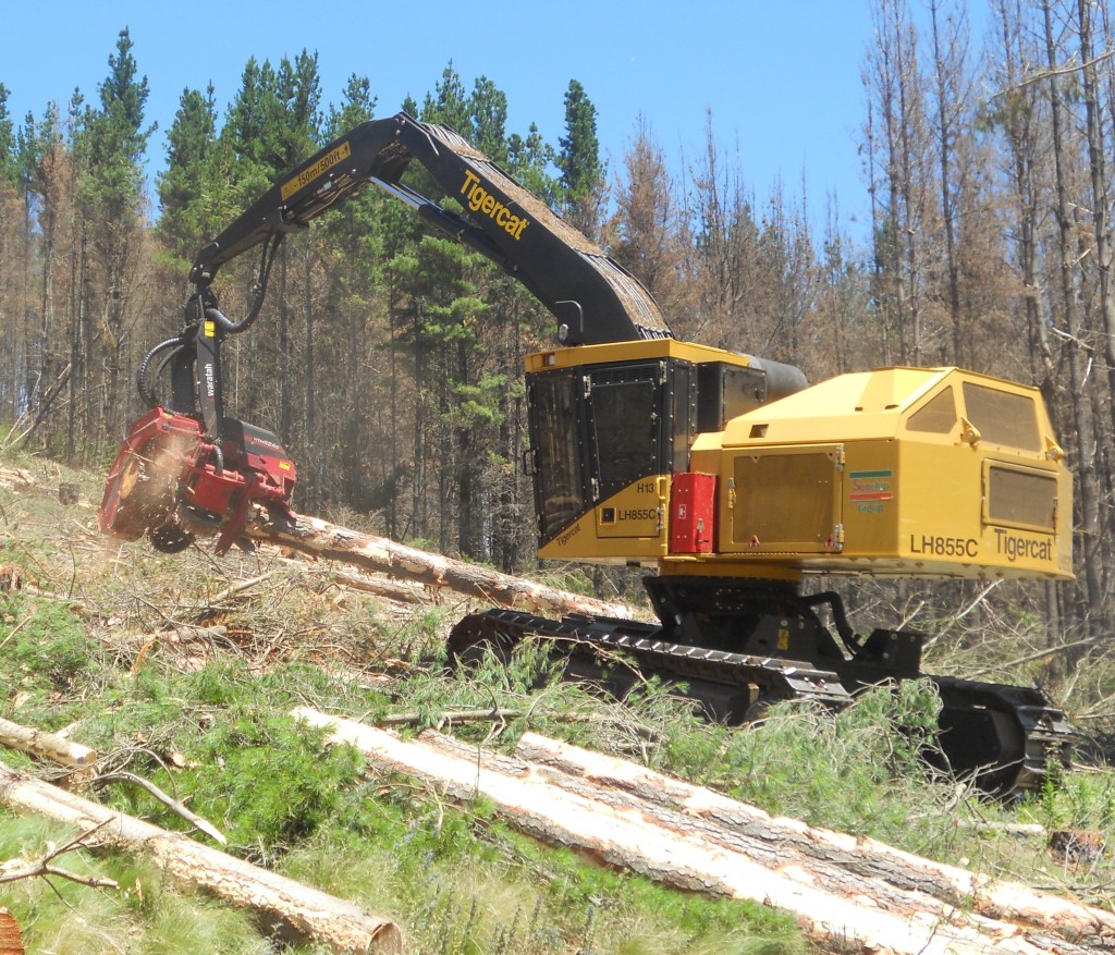 Sunchip Group’s Tigercat LH855C track harvester with a Waratah HTH624C harvesting head working in Tumut, New South Wales, Australia.