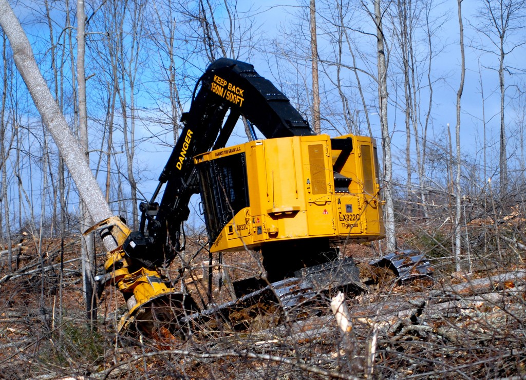 David operating the LX822C equipped with a 5702 felling saw.