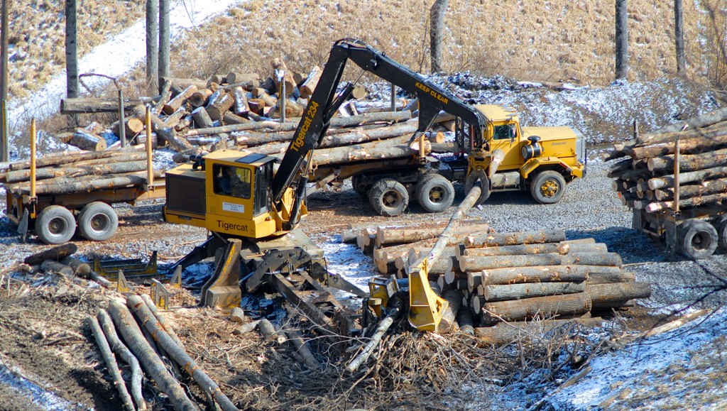 David’s painted yellow trucks and trailers being loaded by the Tigercat 234 loader.