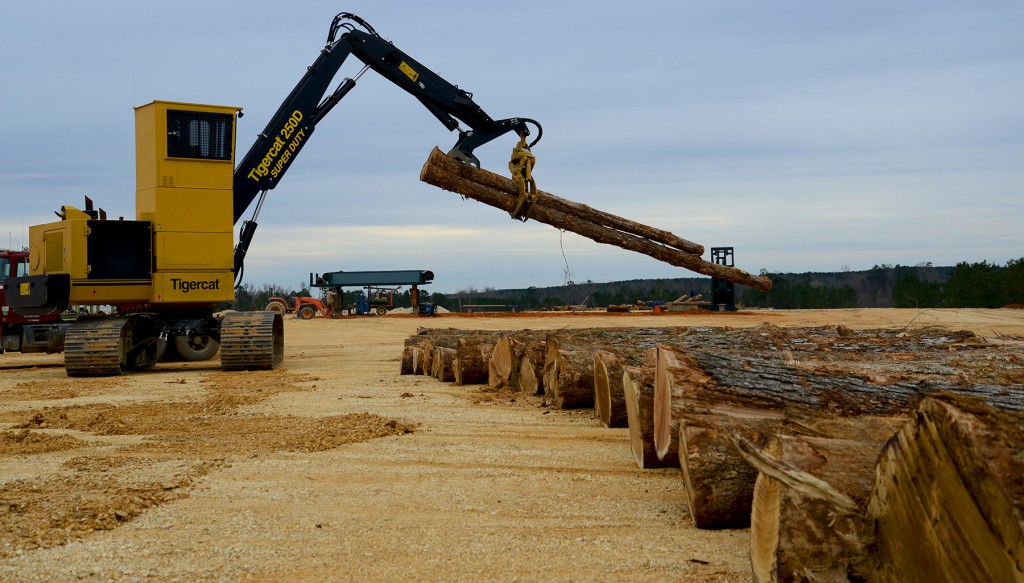 Russell has two Tigercat track loaders working the wood yard including this newly acquired T250D with the super duty mill yard package. It includes the high rise cab, larger undercarriage and long reach boom system.