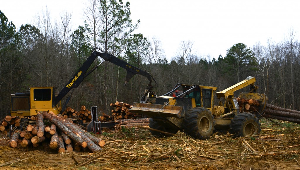 A Tigercat E620C pulling to Russell’s 2006 234 loader. “That is my favorite skidder and my favorite loader. They’ve paid for themselves two times over,” says Russell.