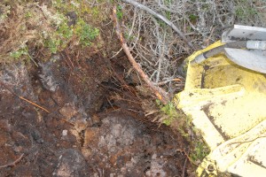 Les accessoires de scarification retournent la couche de surface du terrain pour améliorer le taux de survie des nouveaux arbres.