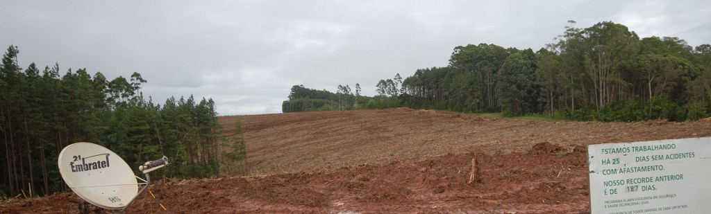 Um talhão mais recentemente colhido livre de detritos, com pouca perturbação do solo.