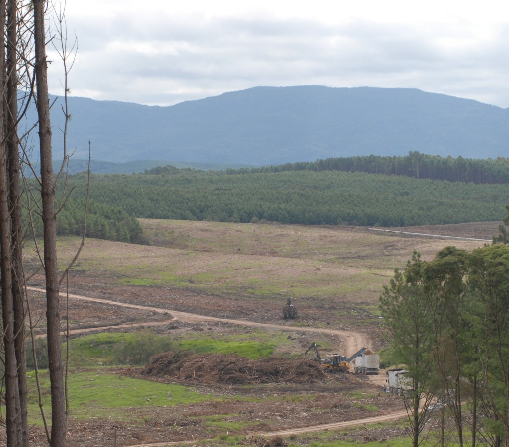 Visão de uma área recentemente colhida. Montanhas alinham-se no plano de fundo; no plano médio, as árvores lembram o topo de montanhas; no primeiro plano, uma ampla área de colheita com máquinas pesadas em operação.