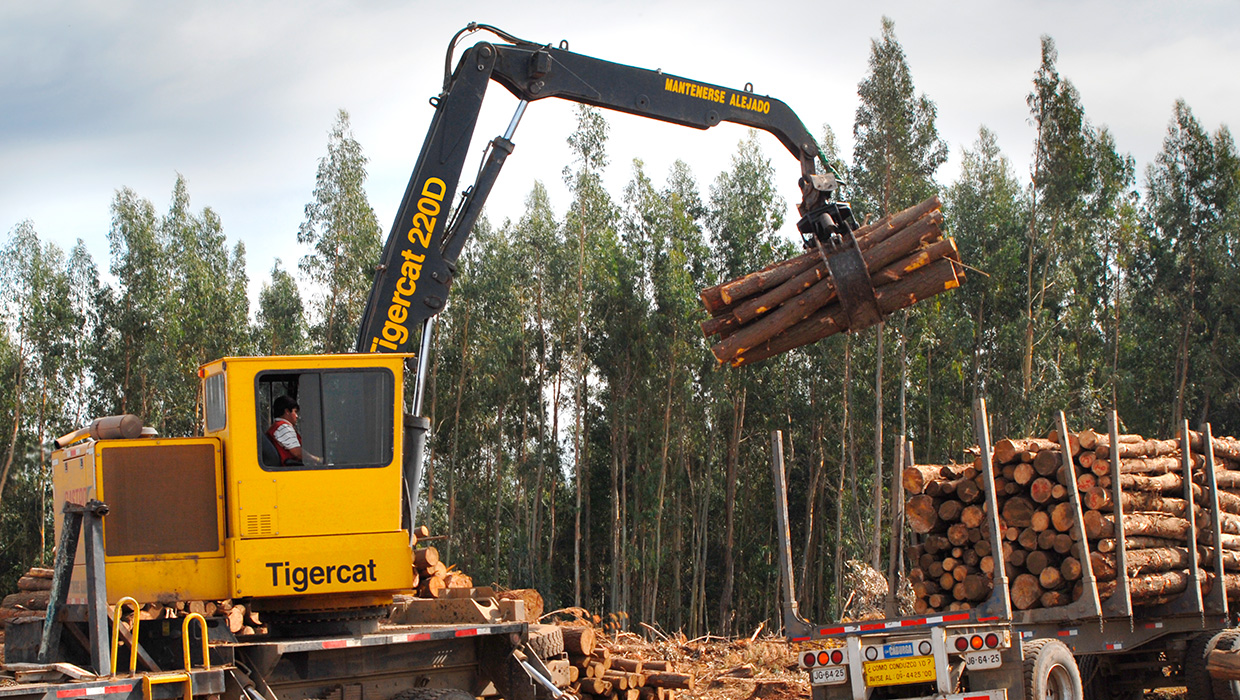Tigercat 220D lifts a load of cut-to-length logs onto a log truck.