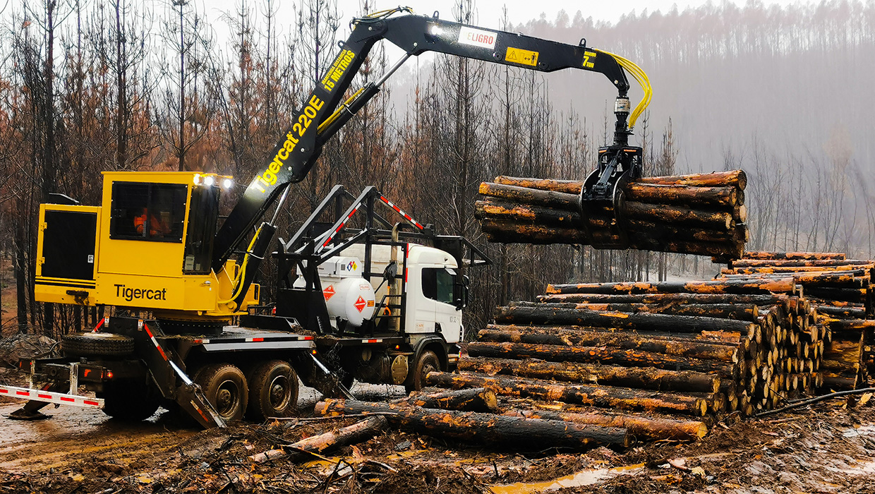 Tigercat 220E lifts a load of cut-to-length logs onto a log truck.