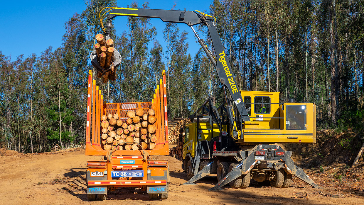 Tigercat 220E lifts a load of cut-to-length logs onto a log truck.