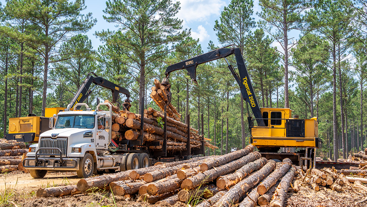 Image of a Tigercat 250D loader loading a truck