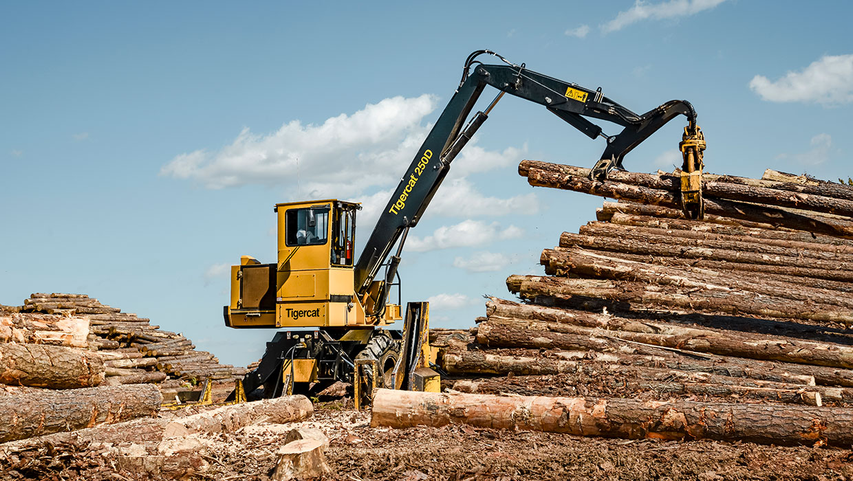 Image of a Tigercat 250D knuckleboom loader working in the field