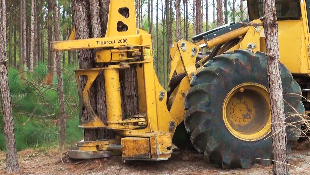 Image of a Tigercat 2000 bunching shear working in the field