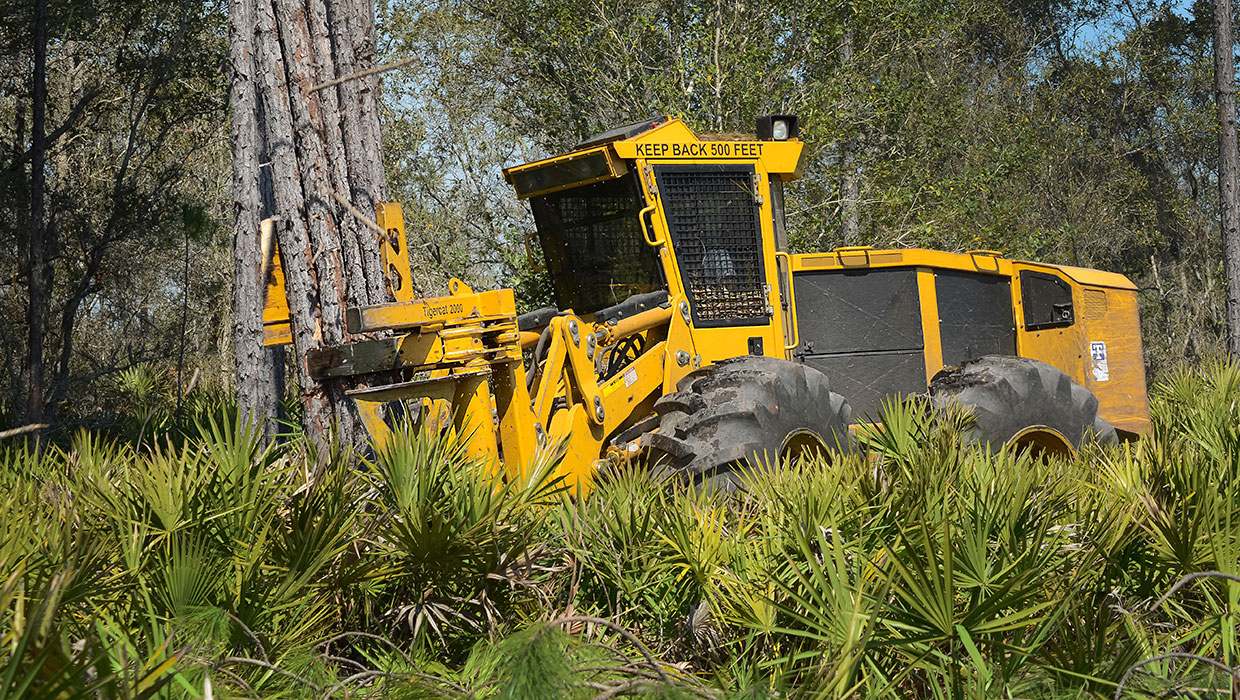 Image of a Tigercat 2000 bunching shear working in the field