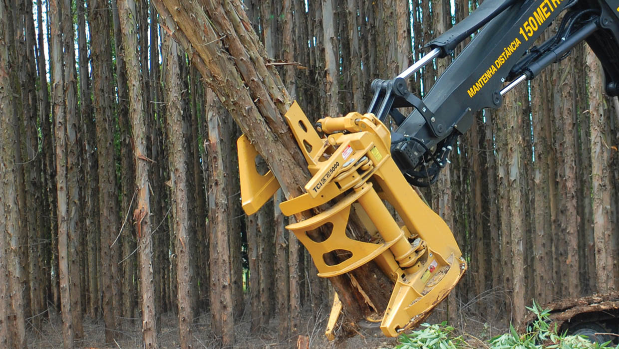 tci 5000 bunching saw with load of eucalyptus