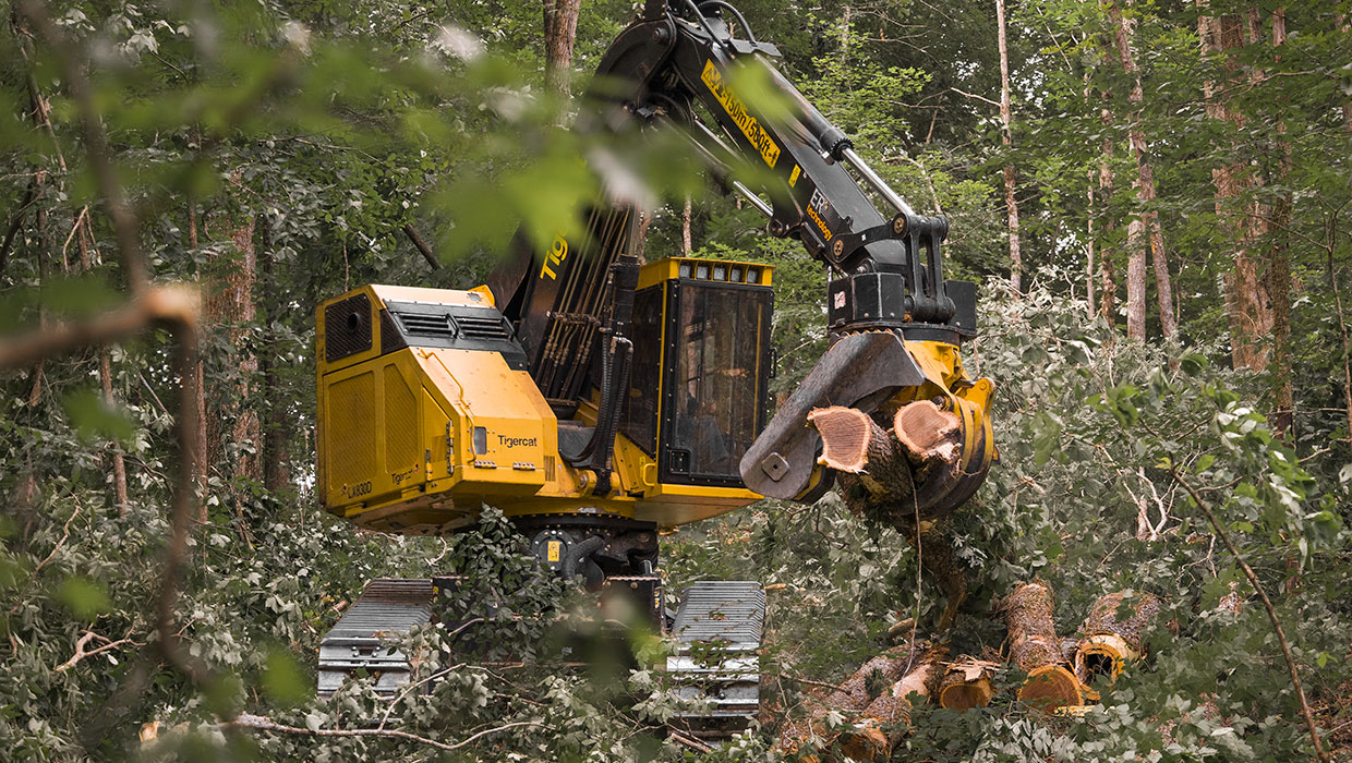Image of a Tigercat 5185 fixed felling saw working in the field
