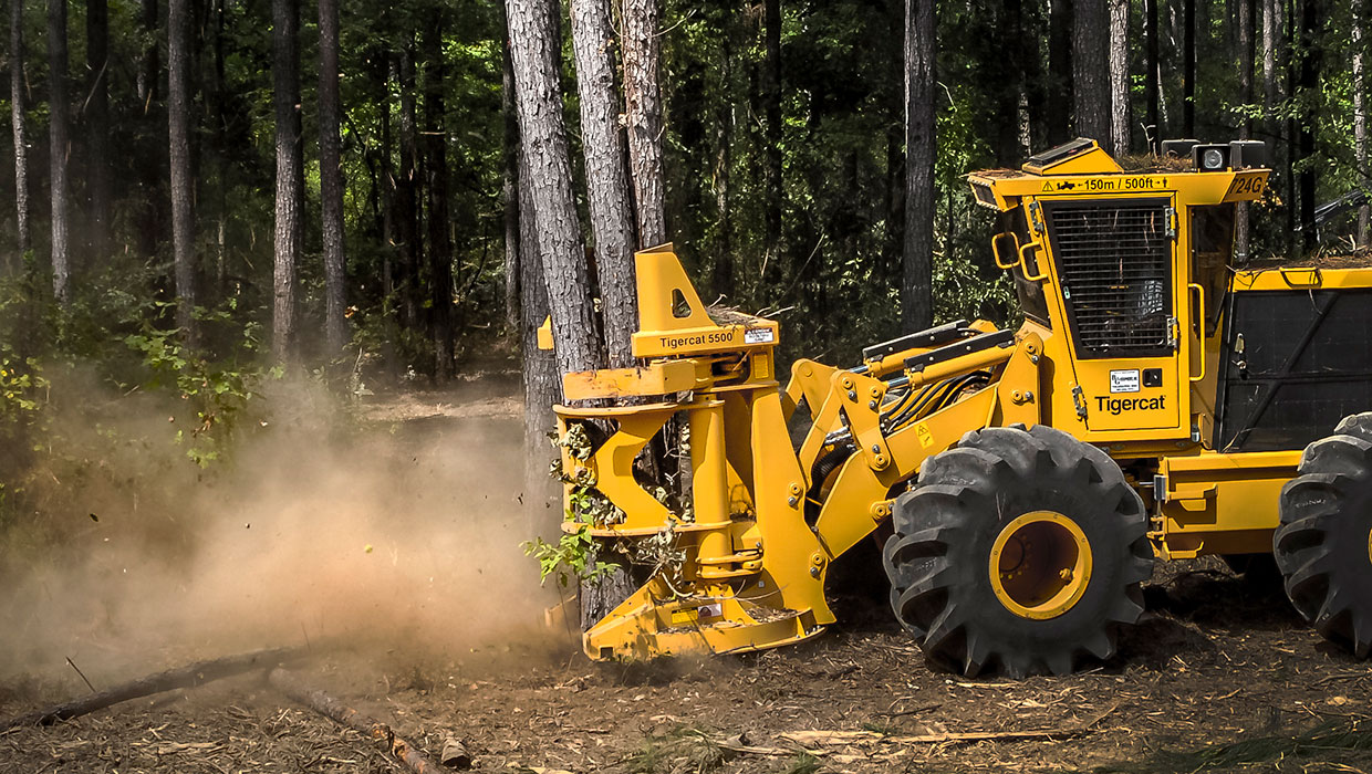 Image of a Tigercat 5500 felling saw working in the field