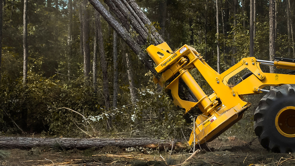 Image of a Tigercat 5500 felling saw working in the field