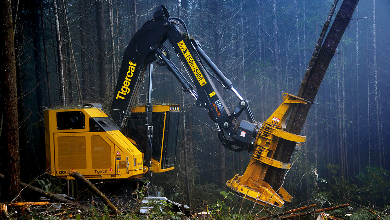 Image of a Tigercat 5702 felling saw working in the field