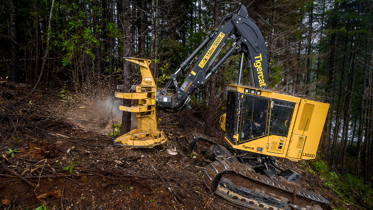 Image of a Tigercat 5702 felling saw working in the field