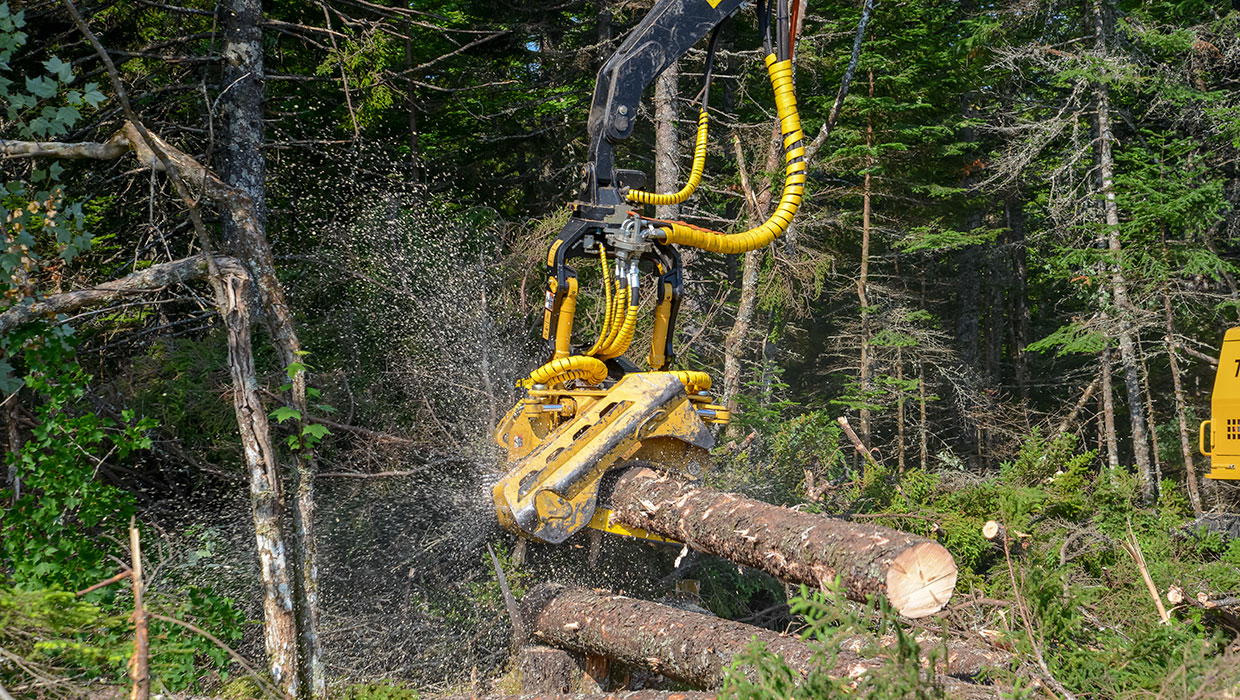 Tigercat 575 harvesting head working in the field