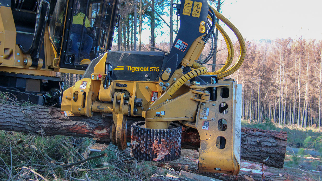 Tigercat 575 harvesting head working in the field