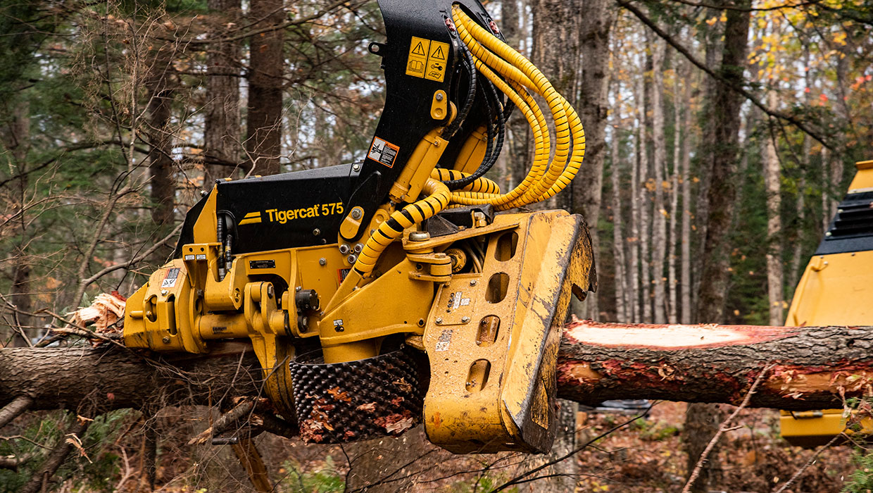 Tigercat 575 harvesting head working in the field