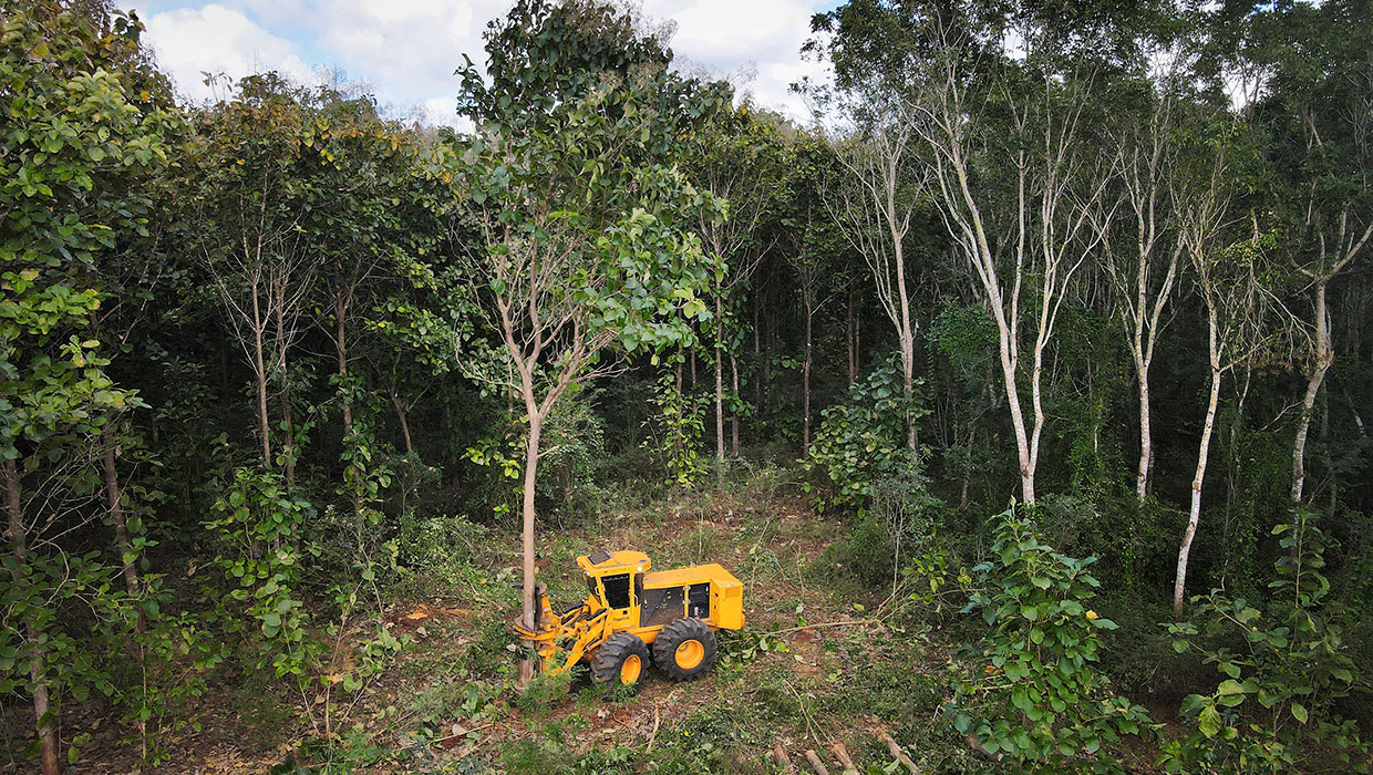 Image of a Tigercat 720G wheel feller buncher working in the field