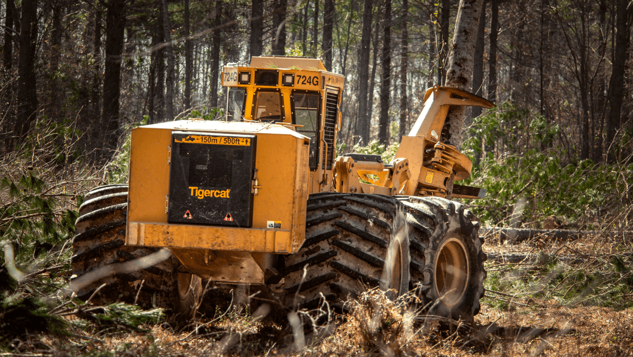 Image of a Tigercat 724G wheel feller buncher working in the field