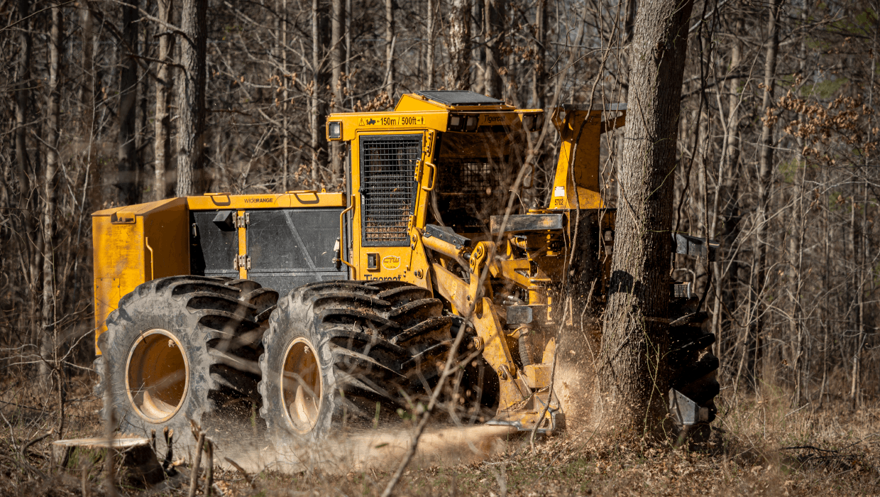 Image of a Tigercat 724G wheel feller buncher working in the field