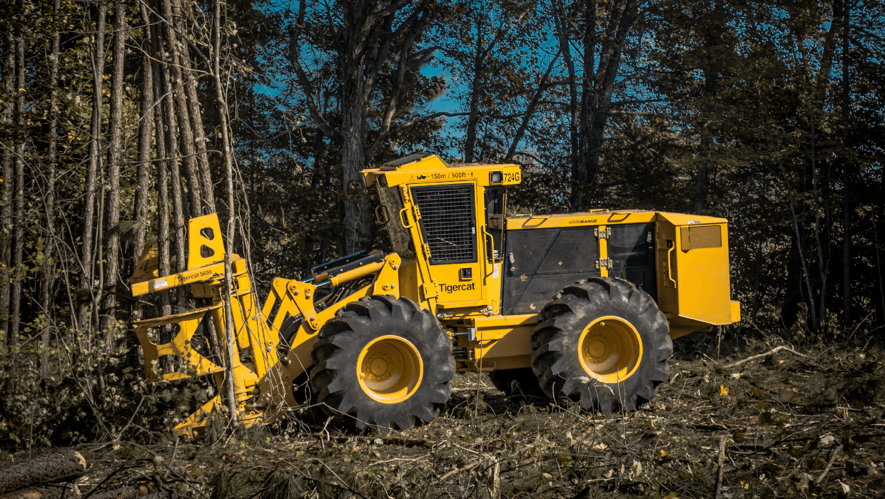 Tigercat 724G wheel feller buncher working in the field