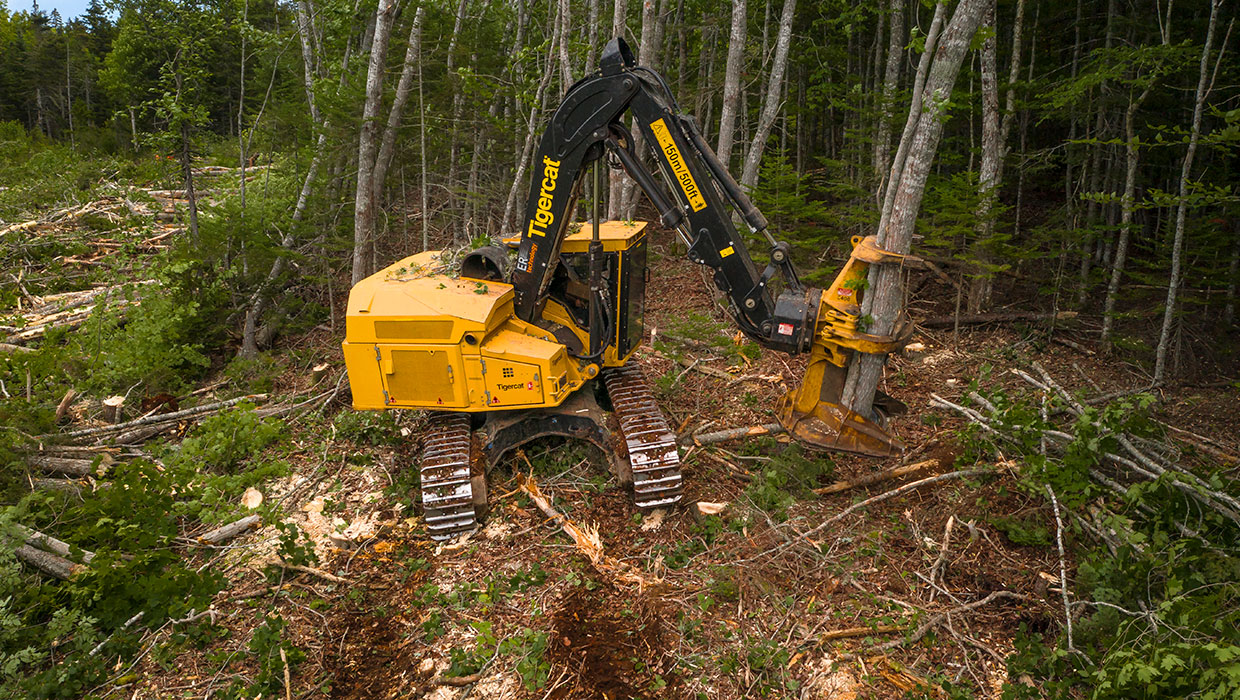 Image of a 845E track feller buncher with the 5400 felling head