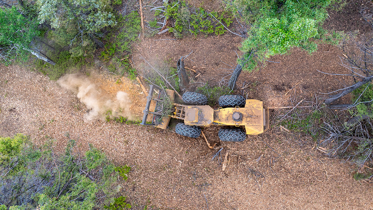 Image of a Tigercat M726G mulcher working in the field