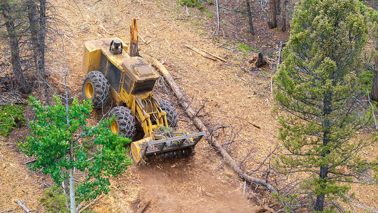 Image of a Tigercat M726G mulcher working in the field