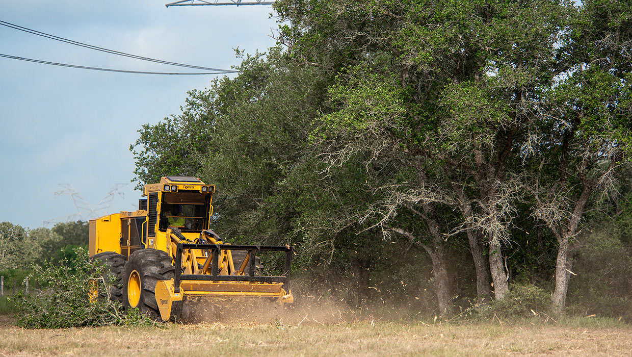 Image of a Tigercat M726G mulcher working in the field