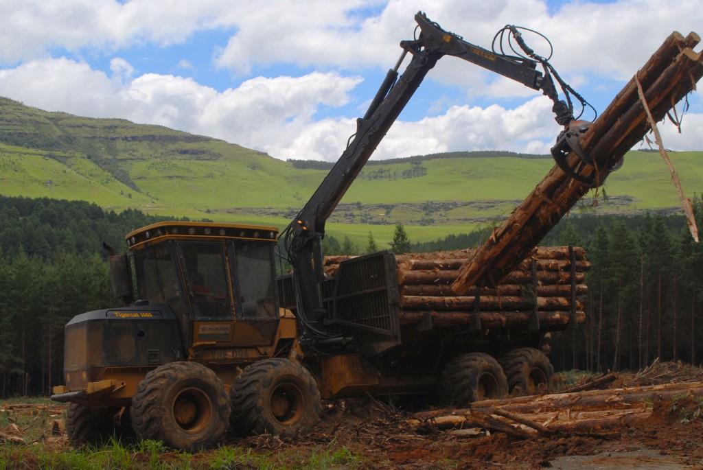 Um forwarder 1065 carrega toras em seus fueiros. Colinas verdes podem ser vistas à distância.