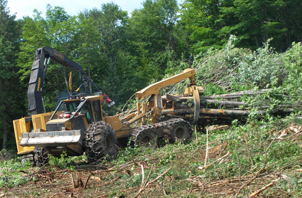 Un débardeur 630D ou 635D amène le bois jusqu'à une façonneuse. Les machines sont dotées de la technologie SIG qui dresse des cartes des corridors pour l'abattage et aide les débardeurs à maintenir un approvisionnement constant en bois pour les façonneuses.