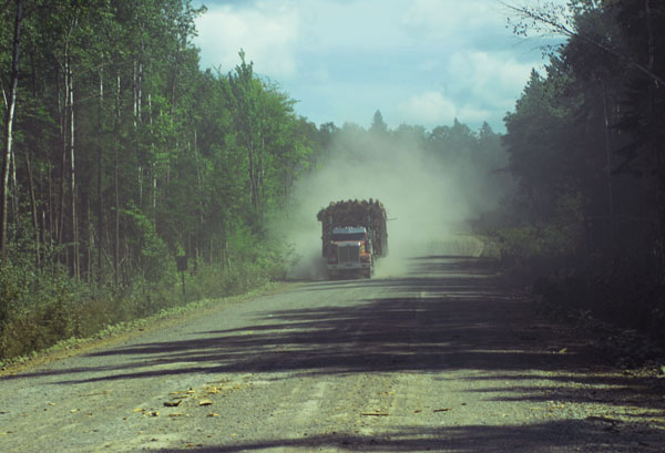 De larges chemins forestiers rectilignes sont caractéristiques d'Irving Woodlands : le transport de grosses charges hors route est un élément clé de réduction des coûts du bois.