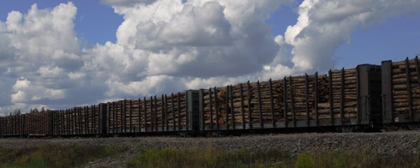 Grâce à la ligne secondaire aux installations d'Ashland, Irving Woodlands utilise de façon intense la voie ferrée pour transporter des copeaux et des billes de bois.