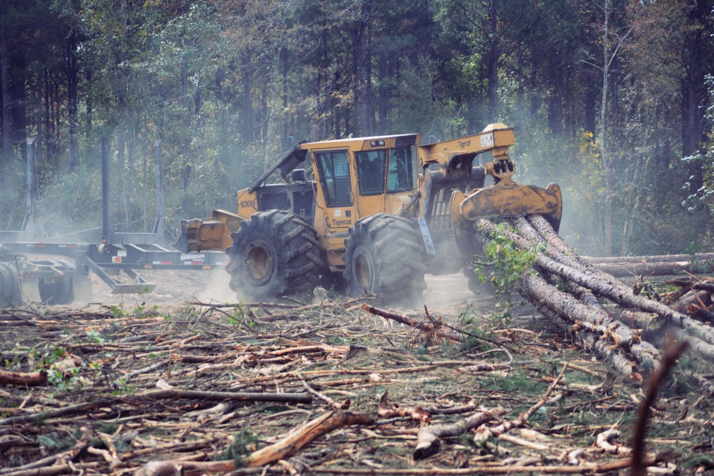 630D skidder drags wood to the cut-block.