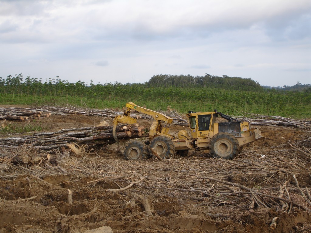 The first Tigercat in Ghana pulling a load across a clear-fell site.