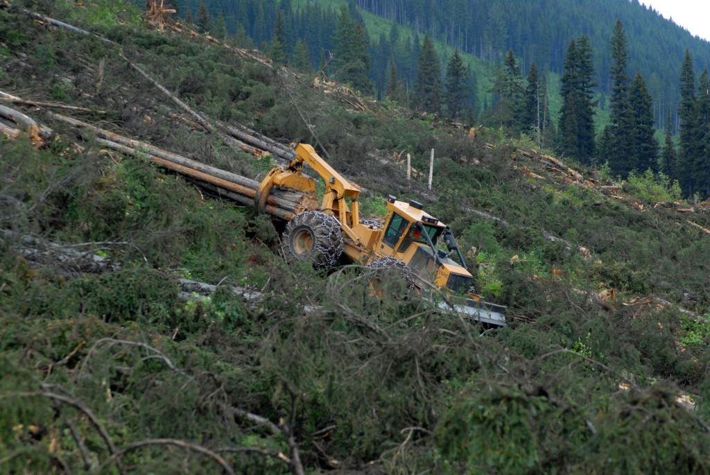 Un débardeur à quatre roues Tigercat traînant de gros bois en descendant d'une montagne.