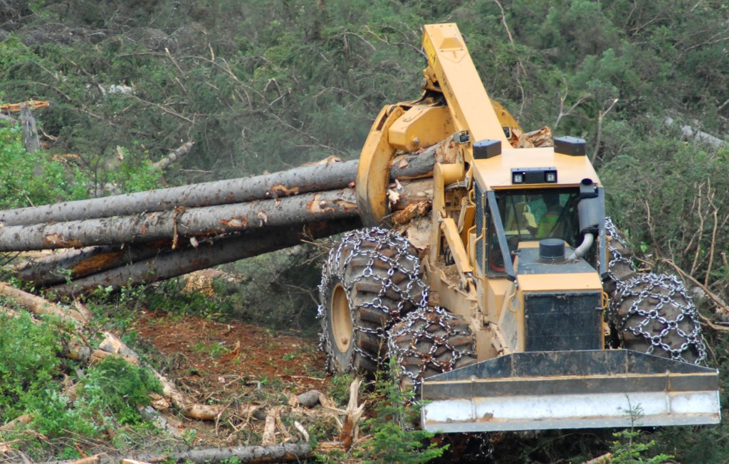 Jory Langridge accumule des arbres pour former une pile sur une pente raide de colline. En se déplaçant en marche arrière sur des collines et en faisant du groupage, du triage et de l'empilage, il fait souvent face à l'arrière.