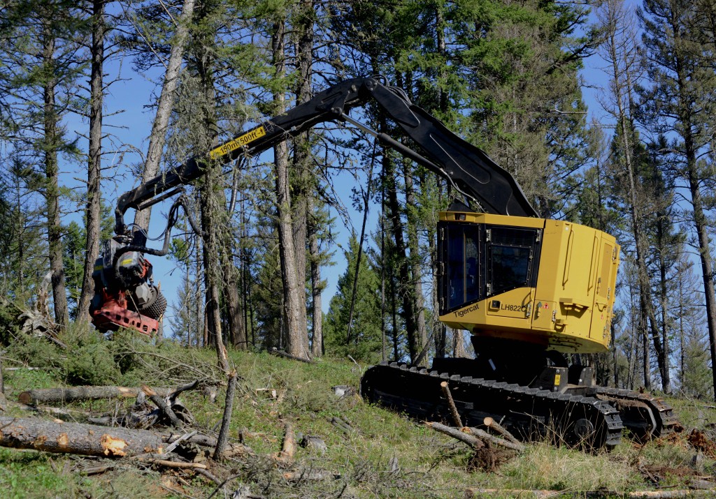 La machine LH822C abattant un arbre. 