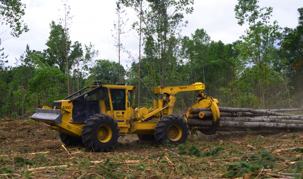 Um skidder 630D arrasta uma carga de madeira.