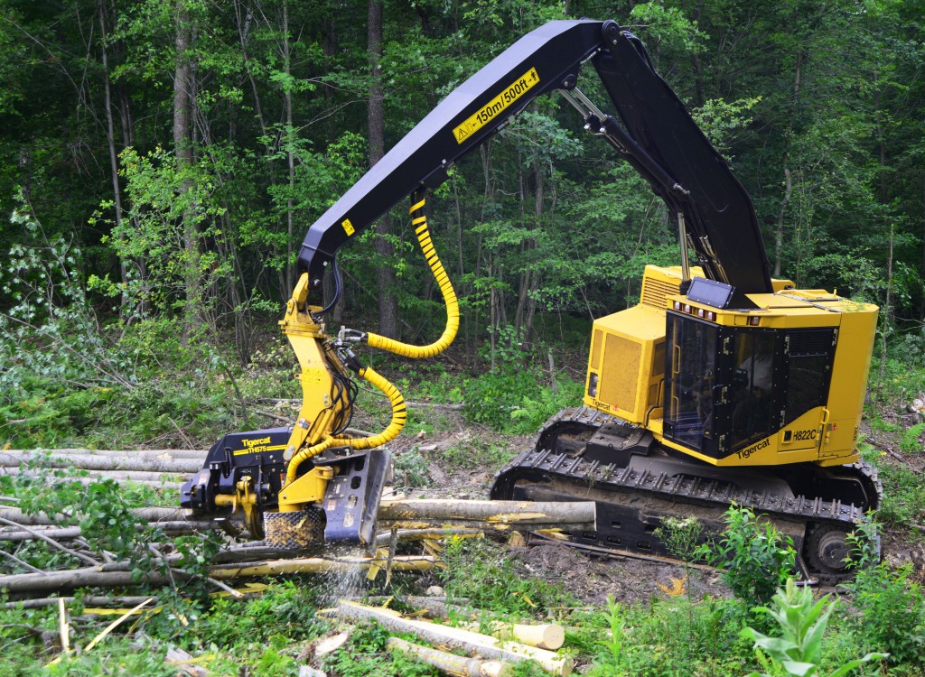 L'abatteuse-façonneuse H822C Tigercat dotée d'une tête d'abattage-ébranchage TH575. Les façonneuses sont utilisées sur le terrain ainsi qu'à des jetées secondaires. Réaliser le marchandisage avec des façonneuses dotées de têtes multifonctionnelles a modifié le modèle d'entreprise de GFP.