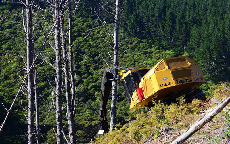 Picture of a machine on a steep slope in New Zealand