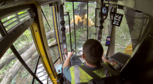 cab interior, window care