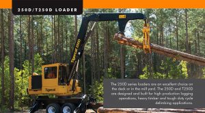 250D loader brochure preview image