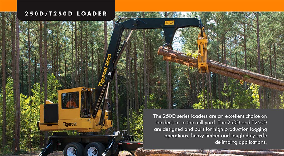 250D loader brochure preview image