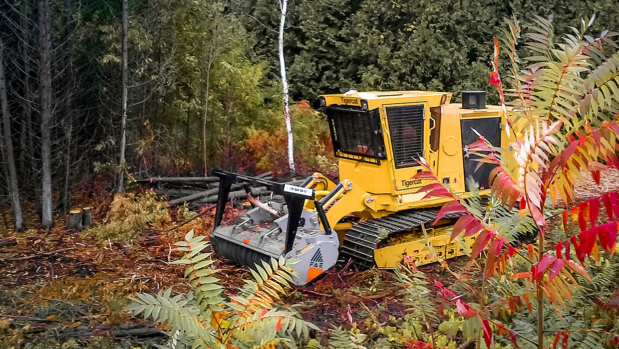 Tigercat 470 mulcher working in the field