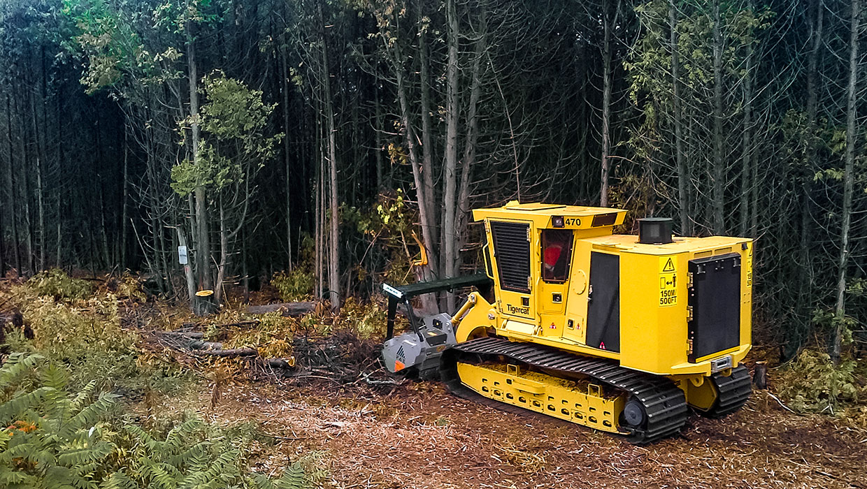 Image of a Tigercat 470 mulcher working in the field