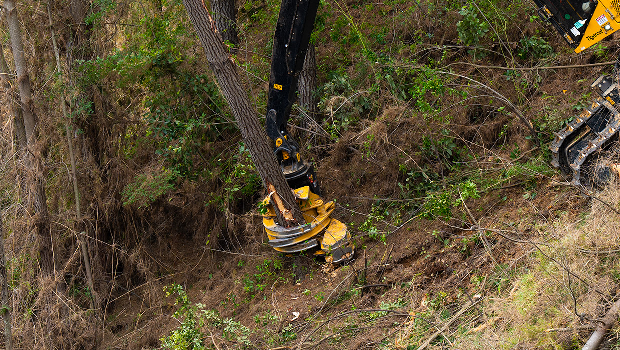 Image of a TCi 5195 directional felling saw working in the field